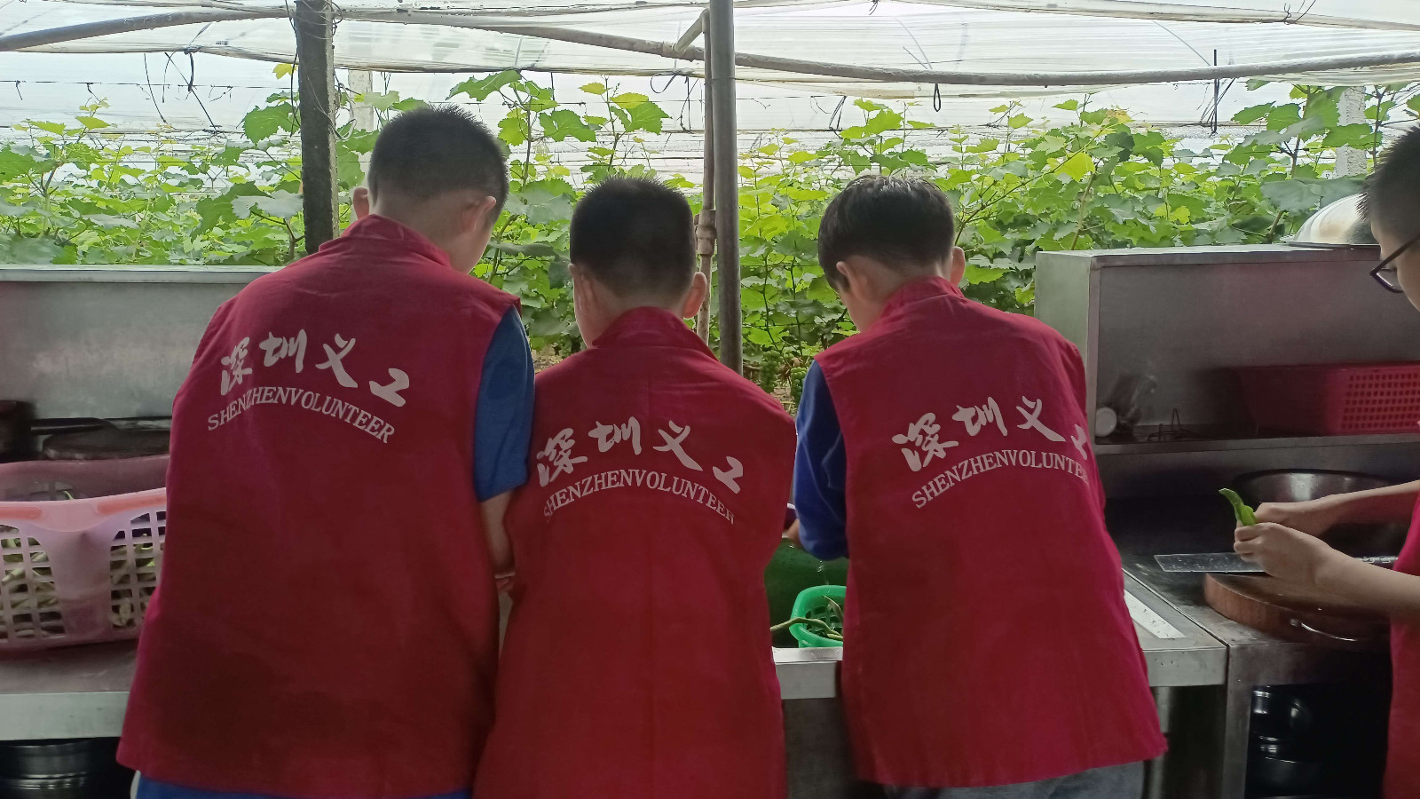 一起洗菜